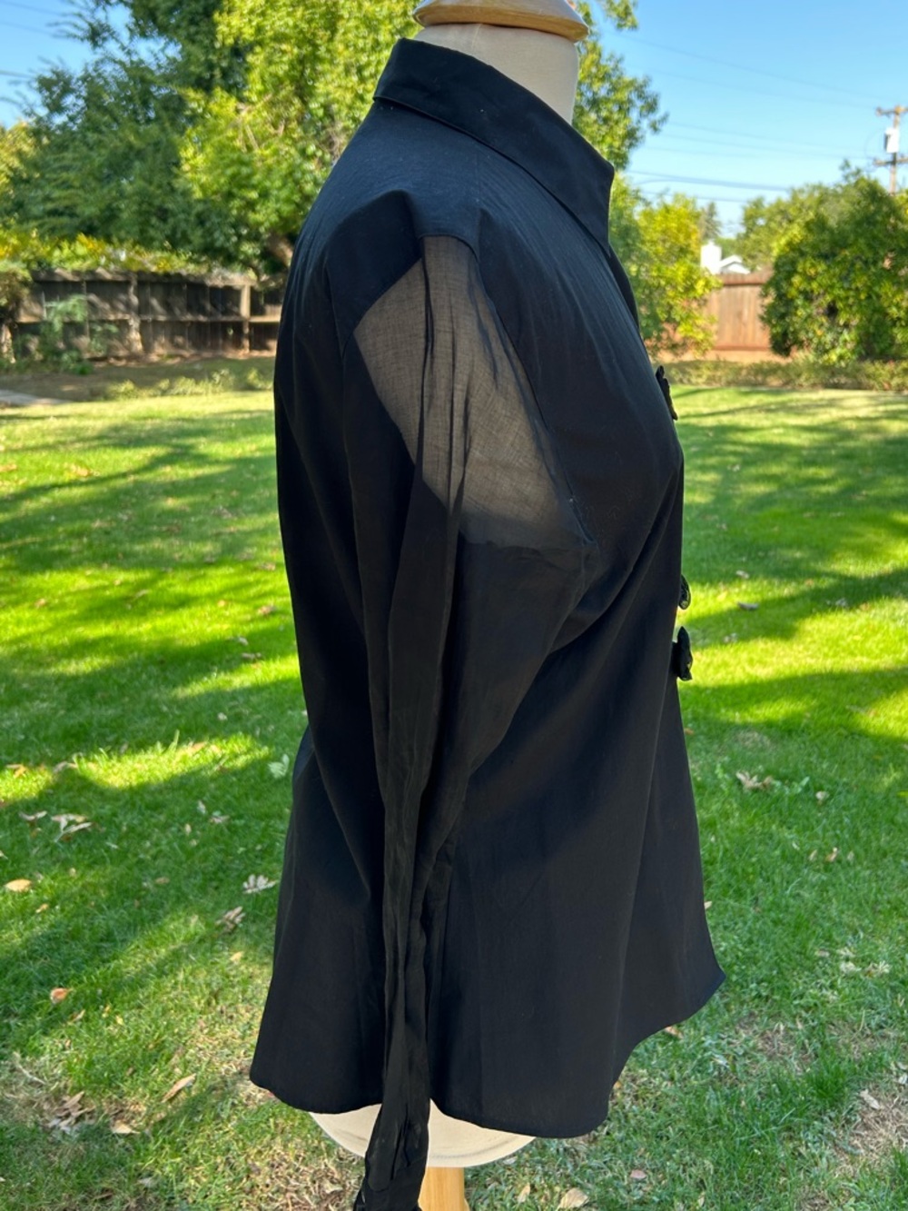 Anne Fontaine Black Sheer Sleeve Rosaorgal Blouse - Picture 4 of 9